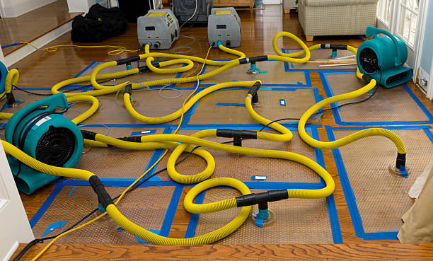 Professional Sewage Cleanup technician working in Remus, MI